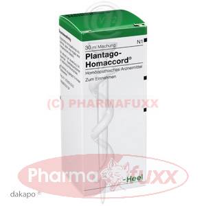 PLANTAGO HOMACCORD Tropfen, 30 ml