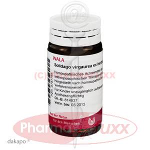 SOLIDAGO VIRGAUREA ex herba D 3 Globuli, 20 g